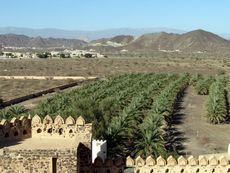 123 Jabrin, Festung Bahla, Landschaft.JPG